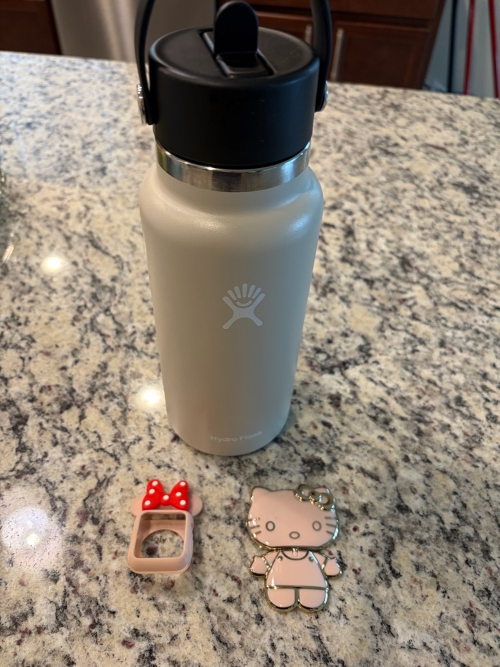Hydrofask phone, accessory, and watch accessory